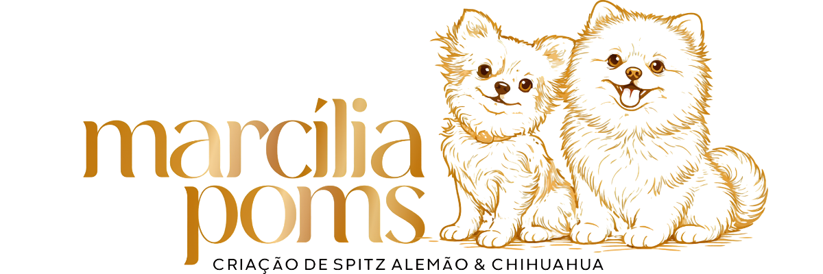 Marcília Poms — Criação de Spitz Alemão e Chihuahua