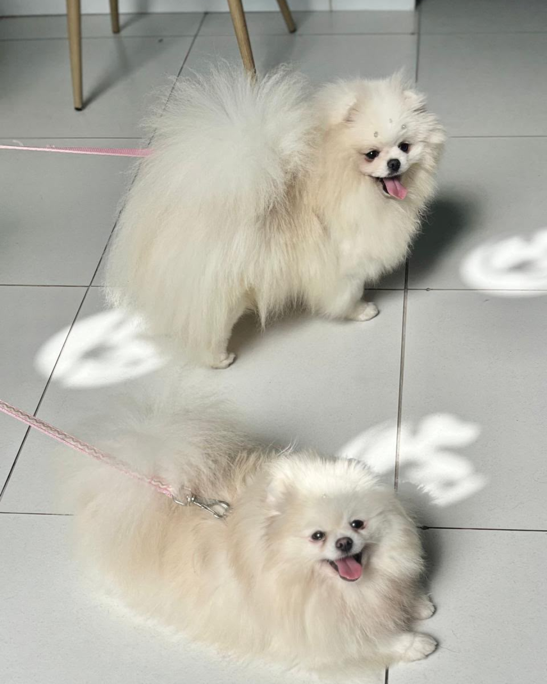 Loren & Chantilly
