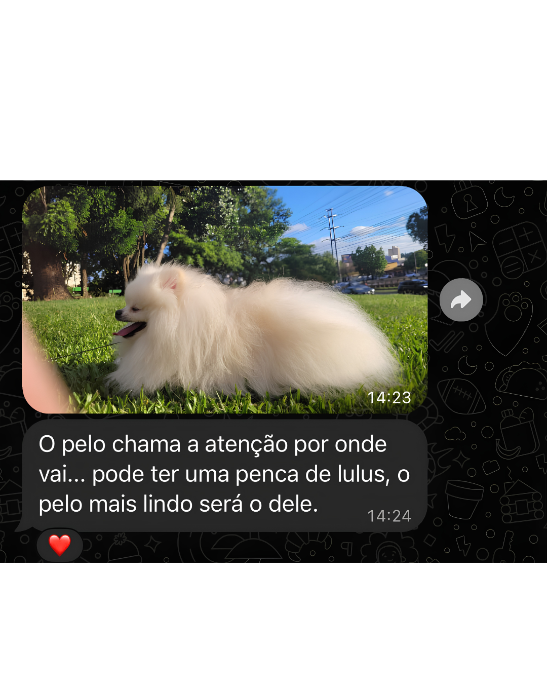 Mensagem recebida de uma família